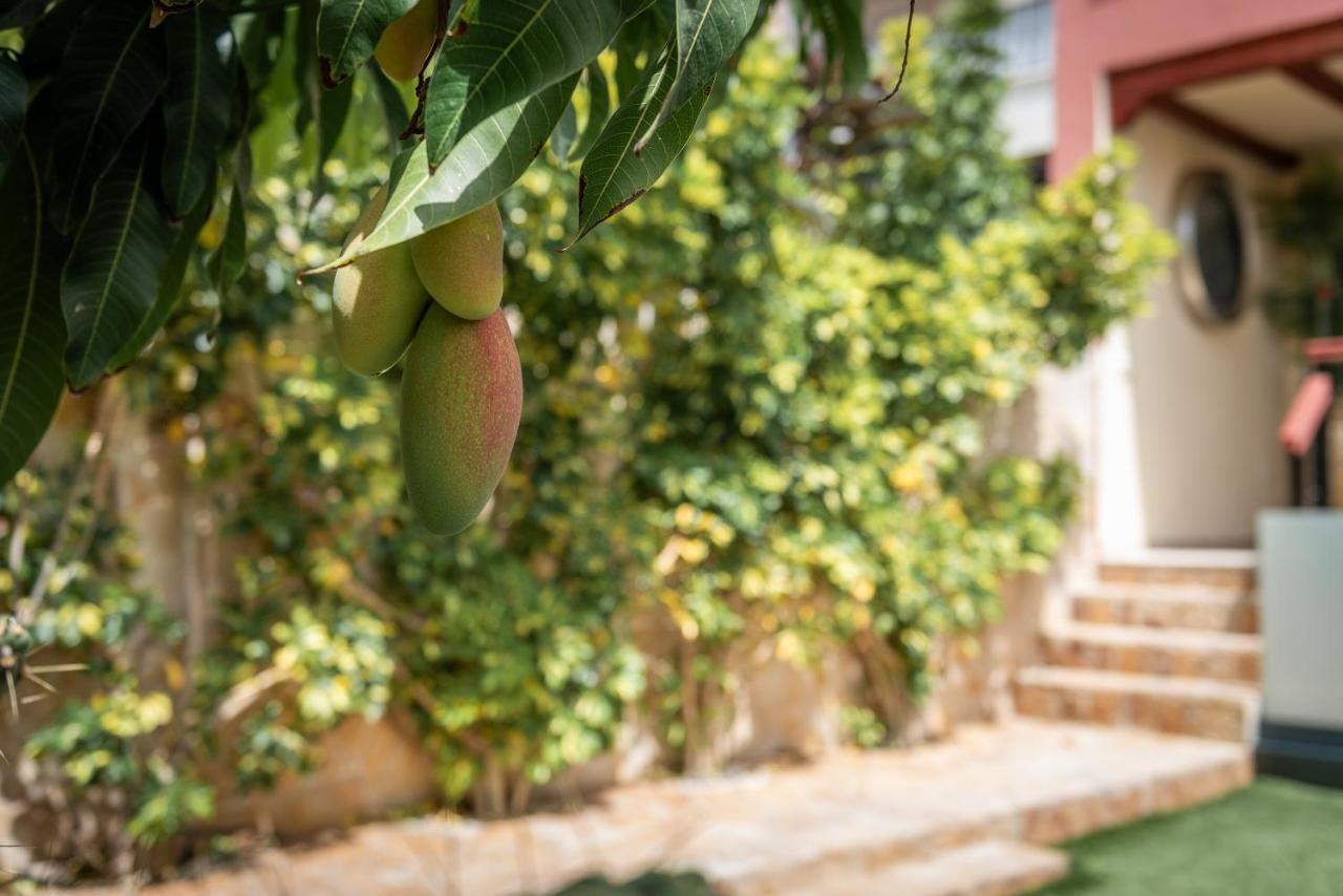 Comfortable 4-Bedroom Villa With Private Gardens Costa Adeje Dış mekan fotoğraf